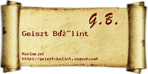 Geiszt Bálint névjegykártya