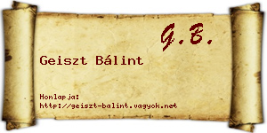 Geiszt Bálint névjegykártya